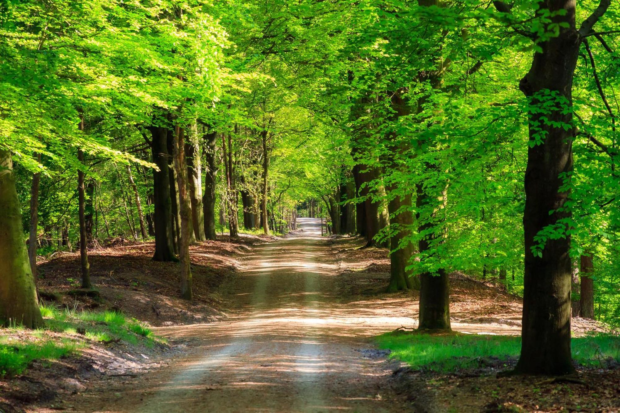 Serendipity - Nature In Luxury Beekbergen Exterior photo